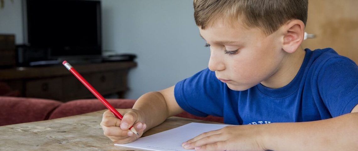 Portage Guide to Early Education Portage Guide to Early Education